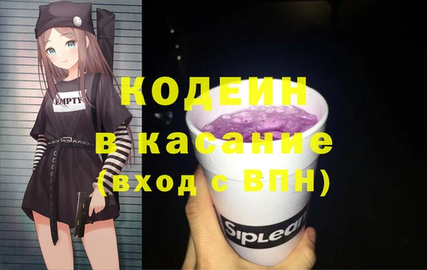индика Аркадак