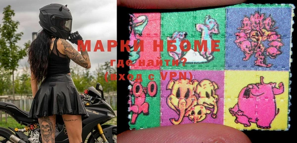 индика Аркадак