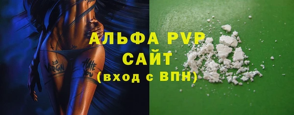 индика Аркадак