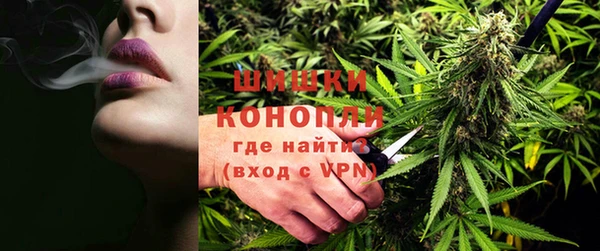 индика Аркадак