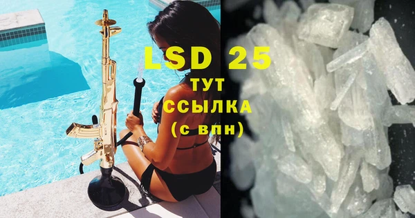 индика Аркадак