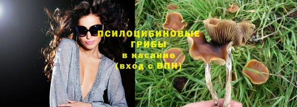 герыч Алексин