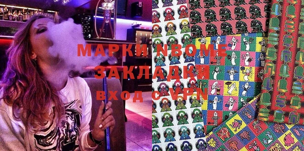 индика Аркадак