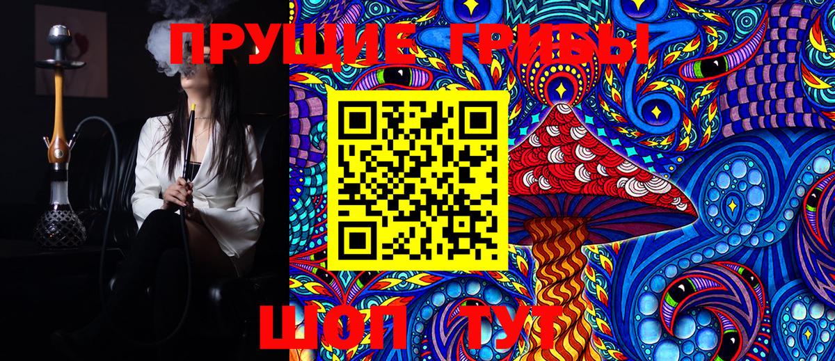 Галлюциногенные грибы Psilocybine cubensis Усинск
