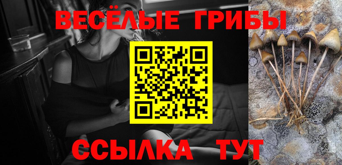 Усинск  Псилоцибиновые грибы GOLDEN TEACHER  купить  сайты  Вход с VPN 